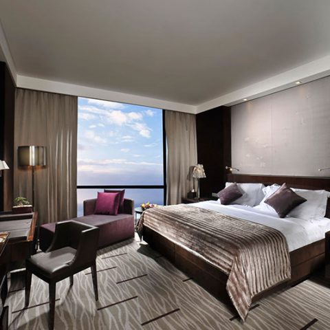 Furniture of Hotels and Hotel-Apartments